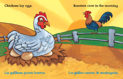 10 Big Book English & Spanish Most Popular Bundle