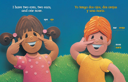 13 Big Book English & Spanish Complete Bundle