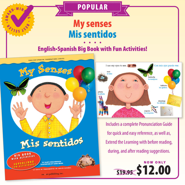 My senses Big Book / Mis sentidos