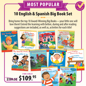10 Big Book English & Spanish Most Popular Bundle