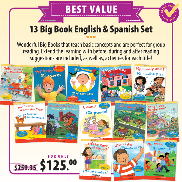 13 Big Book English & Spanish Complete Bundle